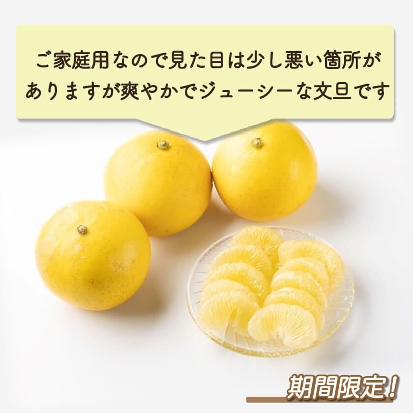 高知県産土佐文旦5キロ、即購入OK 今季終了】宿毛産・土佐文旦5kg（ご家庭用）【高知県宿毛市