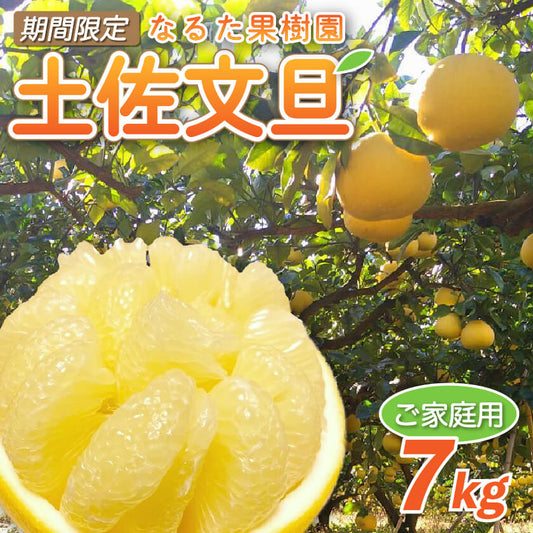 【今季終了】宿毛産・土佐文旦7kg（ご家庭用）【高知県宿毛市・なるた果樹園】【柑橘】