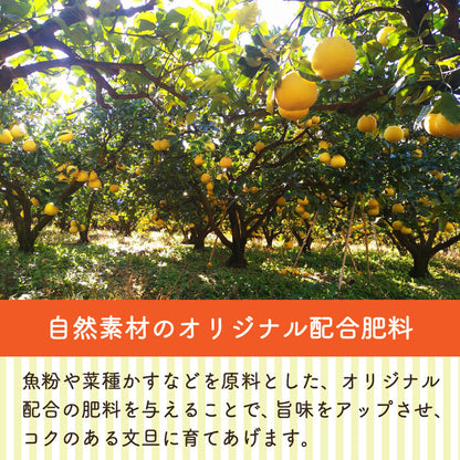 【今季終了】宿毛産・土佐文旦7kg（ご家庭用）【高知県宿毛市・なるた果樹園】【柑橘】