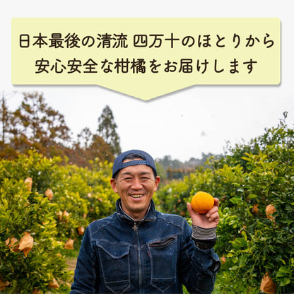 【今季終了】宿毛産・土佐文旦7kg（ご家庭用）【高知県宿毛市・なるた果樹園】【柑橘】