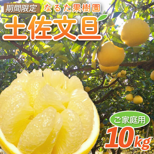 【今季終了】宿毛産・土佐文旦10kg（ご家庭用）【高知県宿毛市・なるた果樹園】【柑橘】