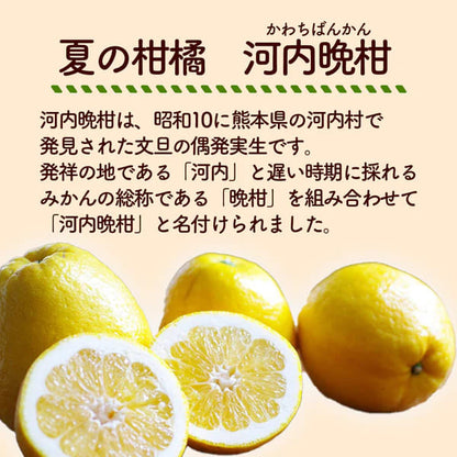【高知県宿毛産】 河内晩柑 5kg/10kg 家庭用【成田果樹園】