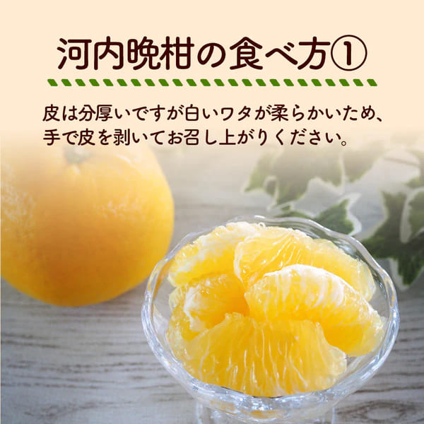 柑ページ 高知県宿毛産】 河内晩柑 5kg/10kg 家庭用【成田果樹園】 – 高知