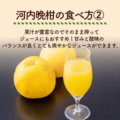 【高知県宿毛産】 河内晩柑 5kg/10kg 家庭用【成田果樹園】