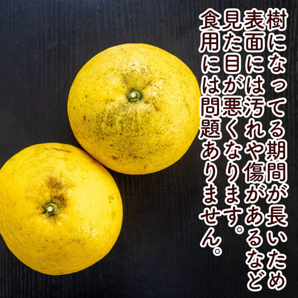 柑ページ 有機甘夏【4kg】