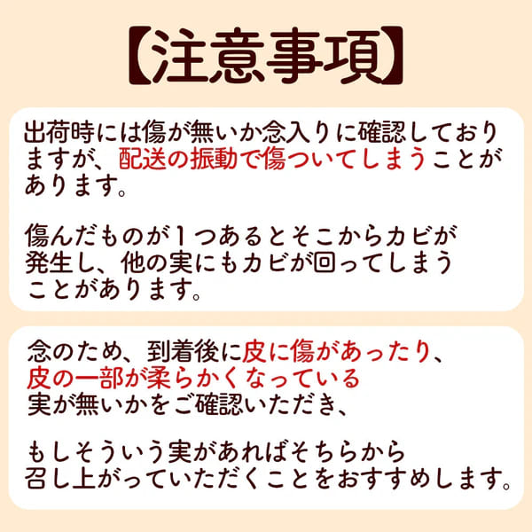 【高知県宿毛産】 河内晩柑 5kg/10kg 家庭用【成田果樹園】