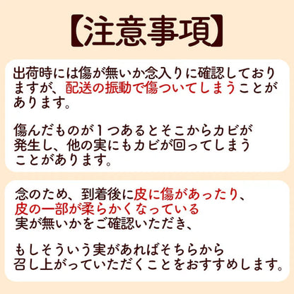 【高知県宿毛産】 河内晩柑 5kg/10kg 家庭用【成田果樹園】