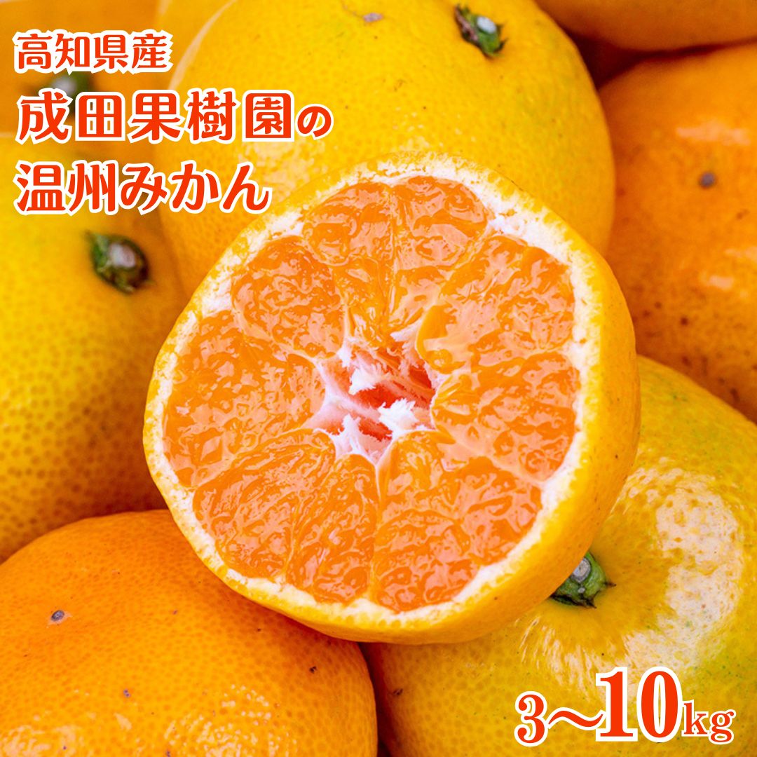 【なるた果樹園】高知県産 温州みかん【3kg～10kgまで選択可】