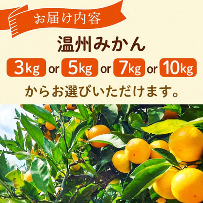 【なるた果樹園】高知県産 温州みかん【3kg～10kgまで選択可】