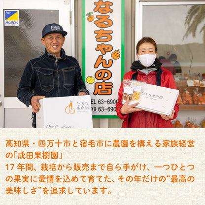 高知県産 成田果樹園の温州みかん