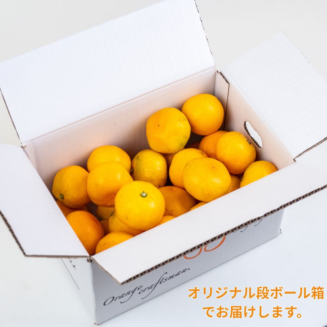 注文〆切12/26まで】高知県産 成田果樹園の温州みかん – 高知かわうそ市場