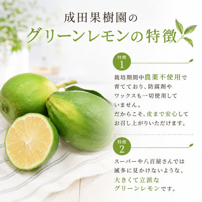 【先行予約・9月上旬より出荷】高知県産 家庭用 グリーンレモン 3kg～5kg【栽培期間中農薬不使用】