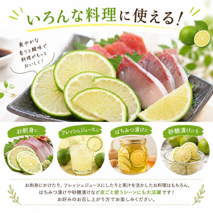 【先行予約・9月上旬より出荷】高知県産 家庭用 グリーンレモン 3kg～5kg【栽培期間中農薬不使用】