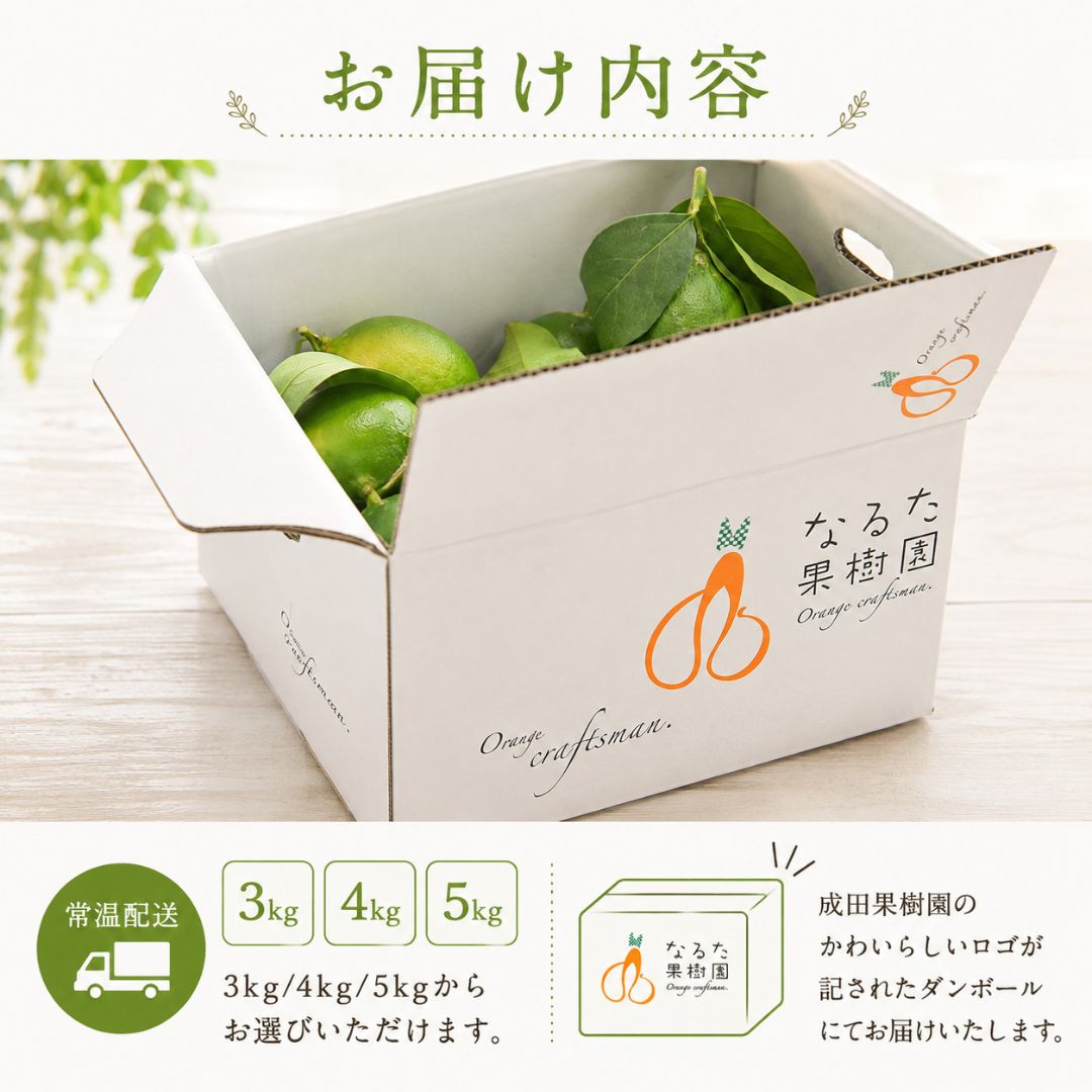 【先行予約・9月上旬より出荷】高知県産 家庭用 グリーンレモン 3kg～5kg【栽培期間中農薬不使用】