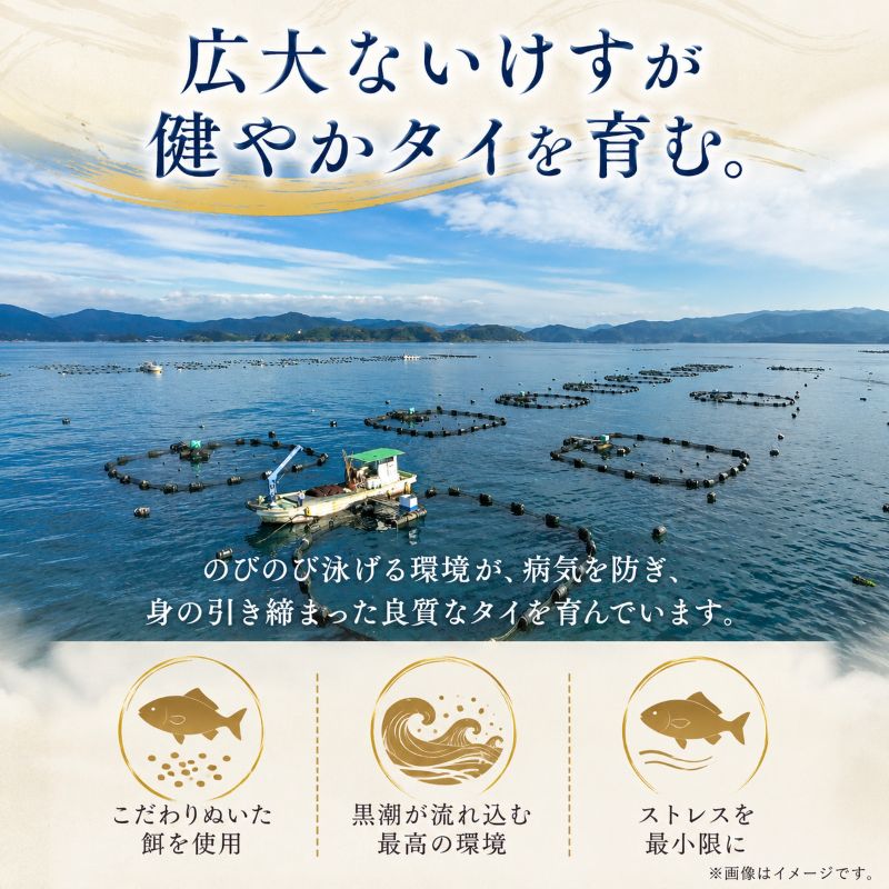【選べる容量＆加工状態】真鯛未来 皮付きフィーレ・ロイン/皮なしロイン【半身分/1尾分から選択可】