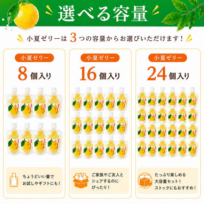 【高知県産小夏使用】小夏ゼリー 【8個/16個/24個から選択可】