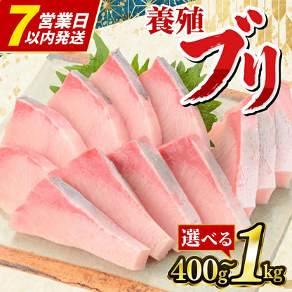 【高知県宿毛産】土佐宿毛ブリ 皮なし ロイン お刺身用柵【400g/1kgから選択可】