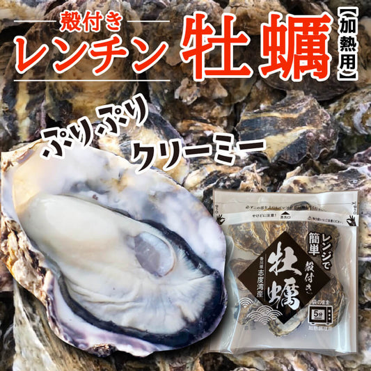 【3/15最終受付】殻付き牡蠣レンチン用【香川県・志度湾産】