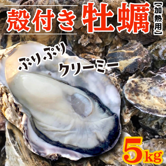 【3/15最終受付】殻付きカキ　約5kg（目安5人前）【香川県・志度湾産】