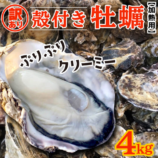 【3/23最終受付】【訳あり】不揃い殻付きカキ　約4kg【香川県・志度湾産】
