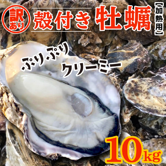 【3/23最終受付】【訳あり】不揃い殻付きカキ 約10kg【香川県・志度湾産】