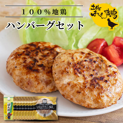 土佐はちきん地鶏ハンバーグセット 【お届け日指定不可】