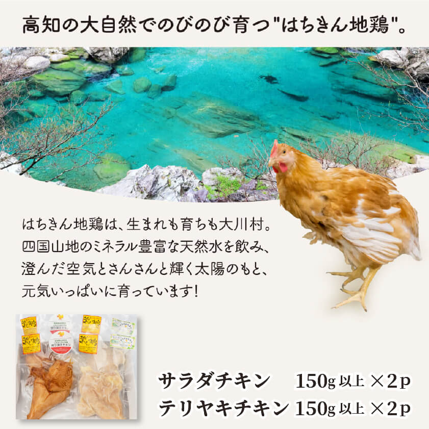 土佐はちきん地鶏サラダチキンとテリヤキチキンセット【お届け日指定不可】