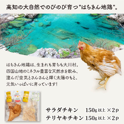 土佐はちきん地鶏サラダチキンとテリヤキチキンセット【お届け日指定不可】