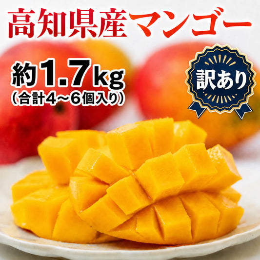 【訳あり・糖度保証】高知県産 完熟アップルマンゴー 約1.7kg （4〜8玉）【岡宗農園】