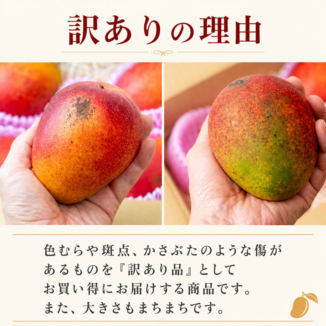【訳あり・糖度保証】高知県産 完熟アップルマンゴー 約1.7kg （4〜8玉）【岡宗農園】