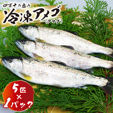 冷凍アメゴ 1パック～3パック