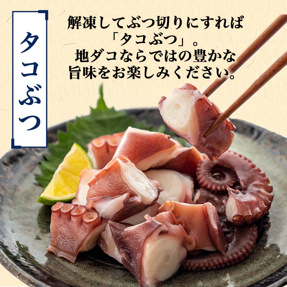 mika　　　生タコ　瀬戸内産 瀬戸内海産 塩飽の活生たこ – 塩飽の漁師たいちオンラインストア