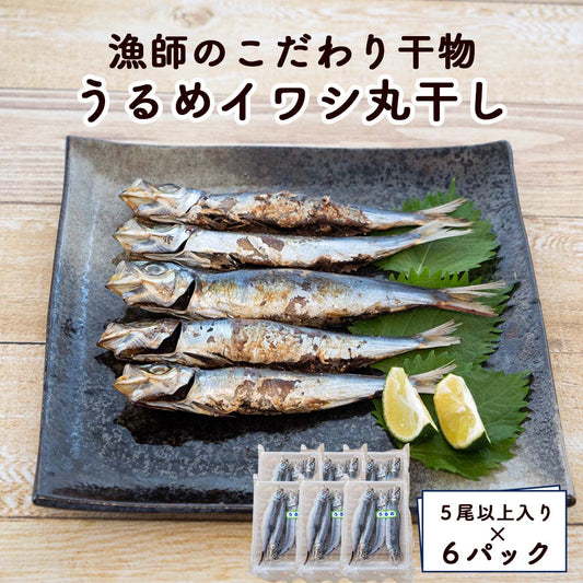 【漁師のこだわり干物】うるめイワシ丸干し