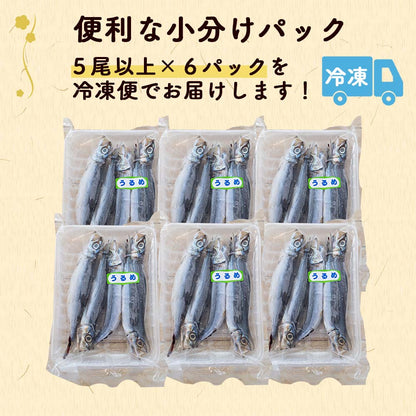 【漁師のこだわり干物】うるめイワシ丸干し