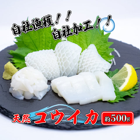 【瀬戸内海産】 コウイカお刺身用 約500g