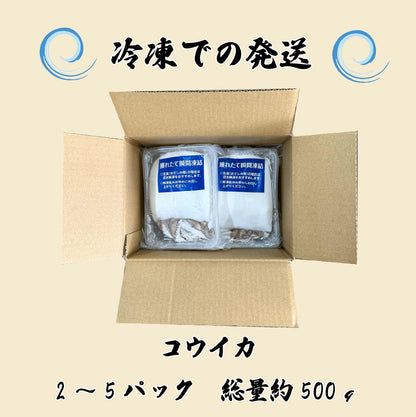 【瀬戸内海産】 コウイカお刺身用 約500g