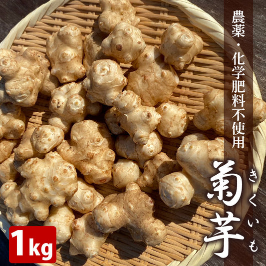 【栽培期間中農薬・化学肥料不使用】 菊芋 1kg 【さぬき市・おおぞらのうえん】