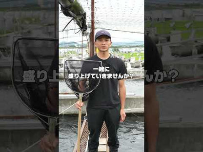 【高知県唯一の養殖アユ】物部川の地下水で育てたアユ 冷蔵 1kg・2kg【カネミツ養鮎】