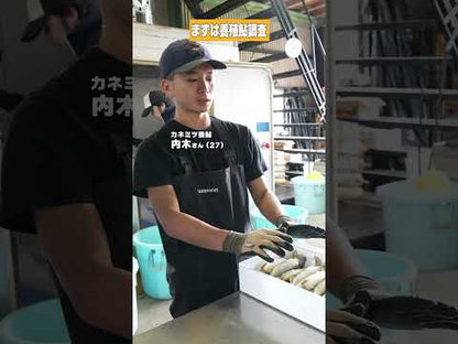 【高知県唯一の養殖アユ】物部川の地下水で育てたアユ 冷蔵 1kg・2kg【カネミツ養鮎】