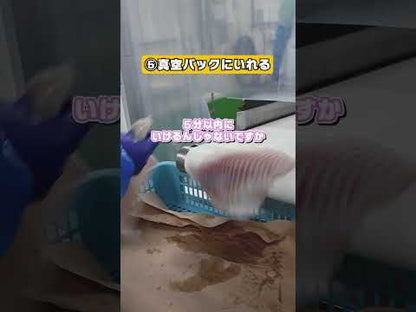 【水揚げ当日出荷】冷蔵 鮮魚 タイ 「乙女鯛」アラ・頭付き 刺身用柵 1尾分 高知産【小島水産】