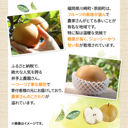 【10月初旬以降順次出荷】福岡県産 新高梨 約3～5kg