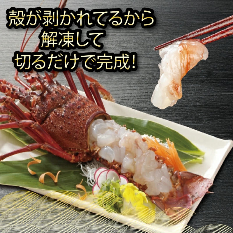 【捌いて発送！】でっかい天然剥き伊勢海老 刺身用