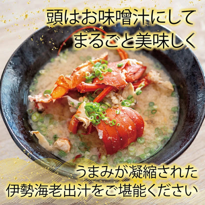 【捌いて発送！】でっかい天然剥き伊勢海老 刺身用