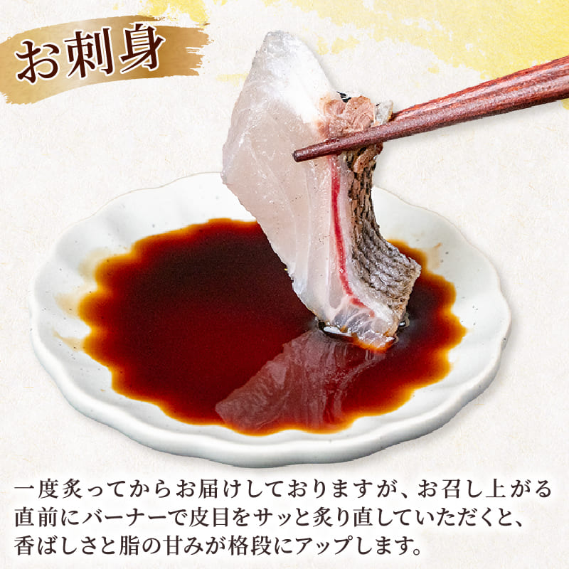 在庫限り】高知県須崎産 イサキ 皮付炙り お刺身用柵 半身分～1尾分