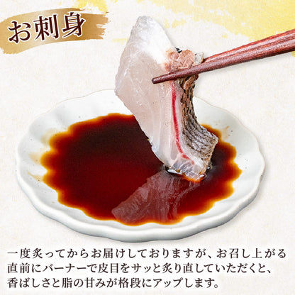 【在庫限り】高知県須崎産 イサキ 皮付炙り お刺身用柵 半身分～1尾分【小サイズ】