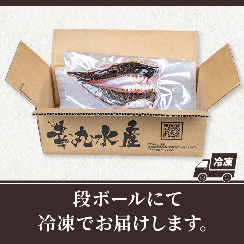 【在庫限り】高知県須崎産 イサキ 皮付炙り お刺身用柵 半身分～1尾分【小サイズ】