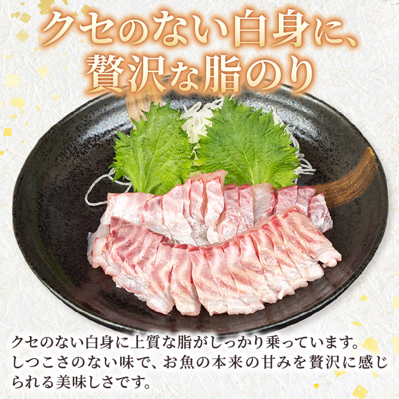 【高知県須崎産】イサキ 皮なし お刺身用柵 半身分～2尾分【鮮魚】【養殖】