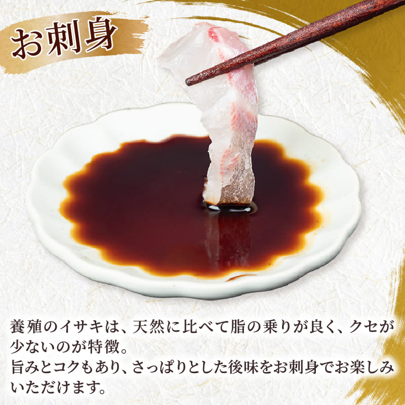 【在庫限り】高知県須崎産 イサキ 皮なし お刺身用柵 半身分～1尾分【小サイズ】