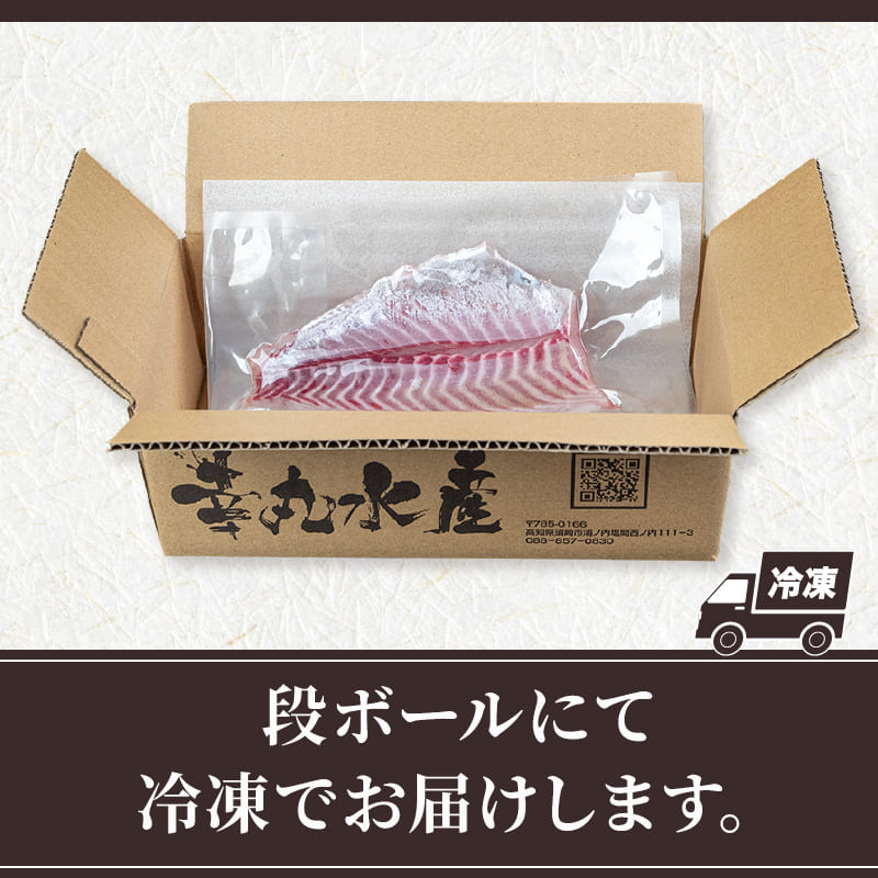 【在庫限り】高知県須崎産 イサキ 皮なし お刺身用柵 半身分～1尾分【小サイズ】