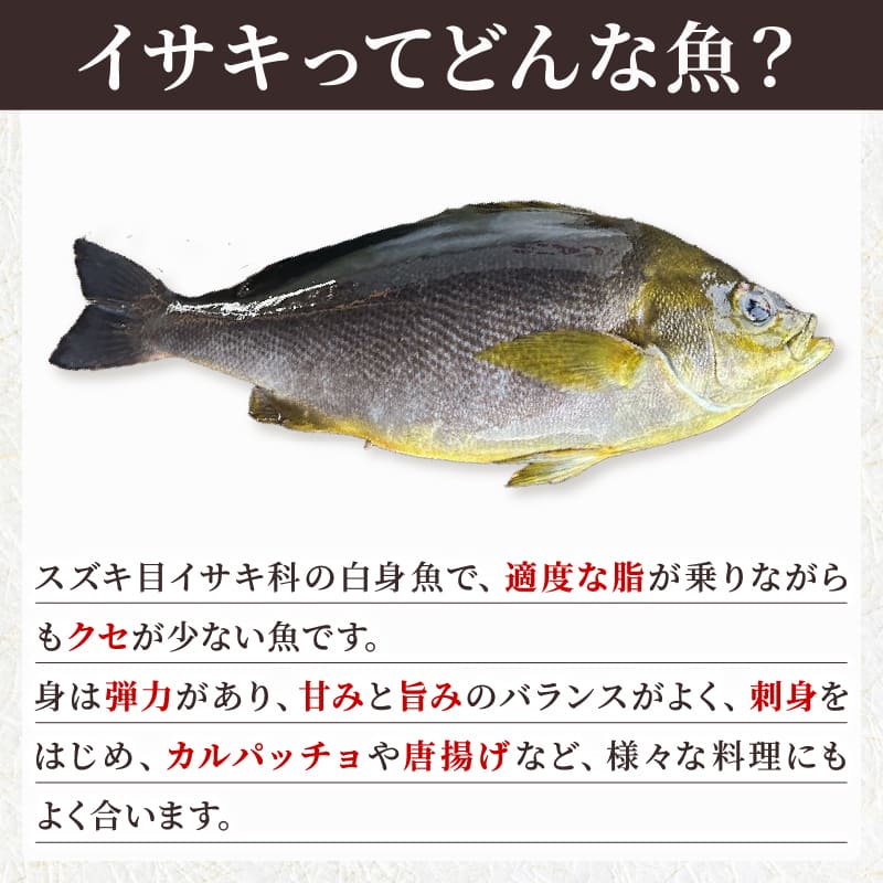 【在庫限り】高知県須崎産 イサキ 皮なし お刺身用柵 半身分～1尾分【小サイズ】